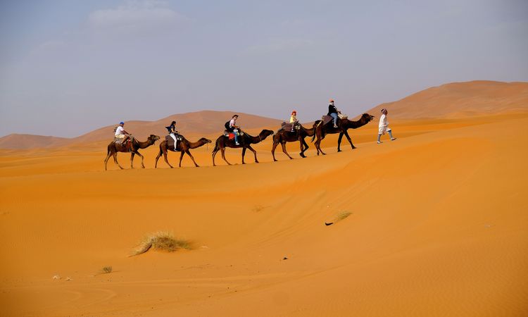 4 Days Desert tour Fes to Marrakech  - 4 days tour from Marrakech to Fes itinerary